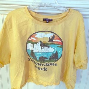 Yellowstone Crop Top